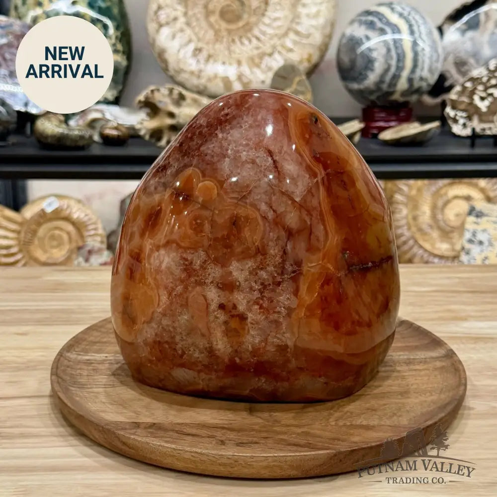 Reserve Carnelian Statement Table Accent 7.7’’ | 16.98lb - Accent
