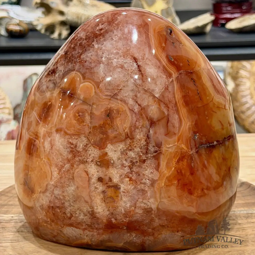 Reserve Carnelian Statement Table Accent 7.7’’ | 16.98lb - Accent