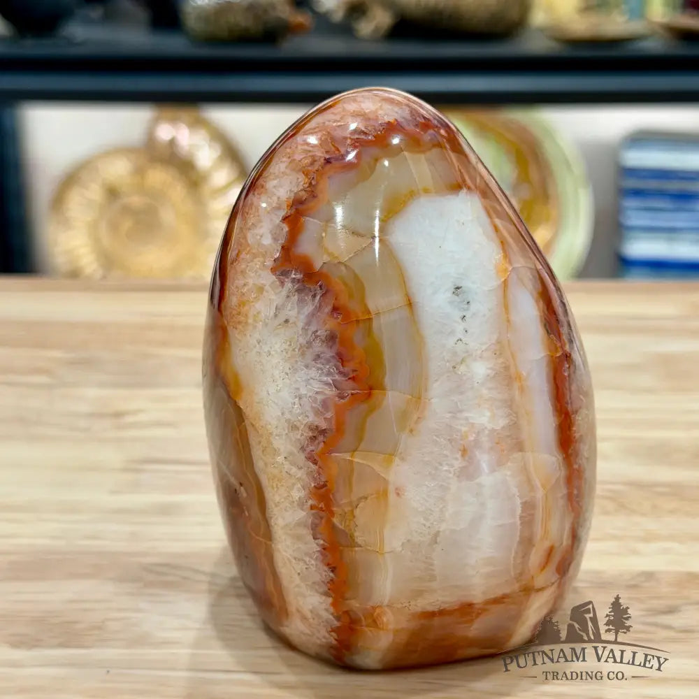 Reserve Carnelian Table Accent 4.6’’ - Accent