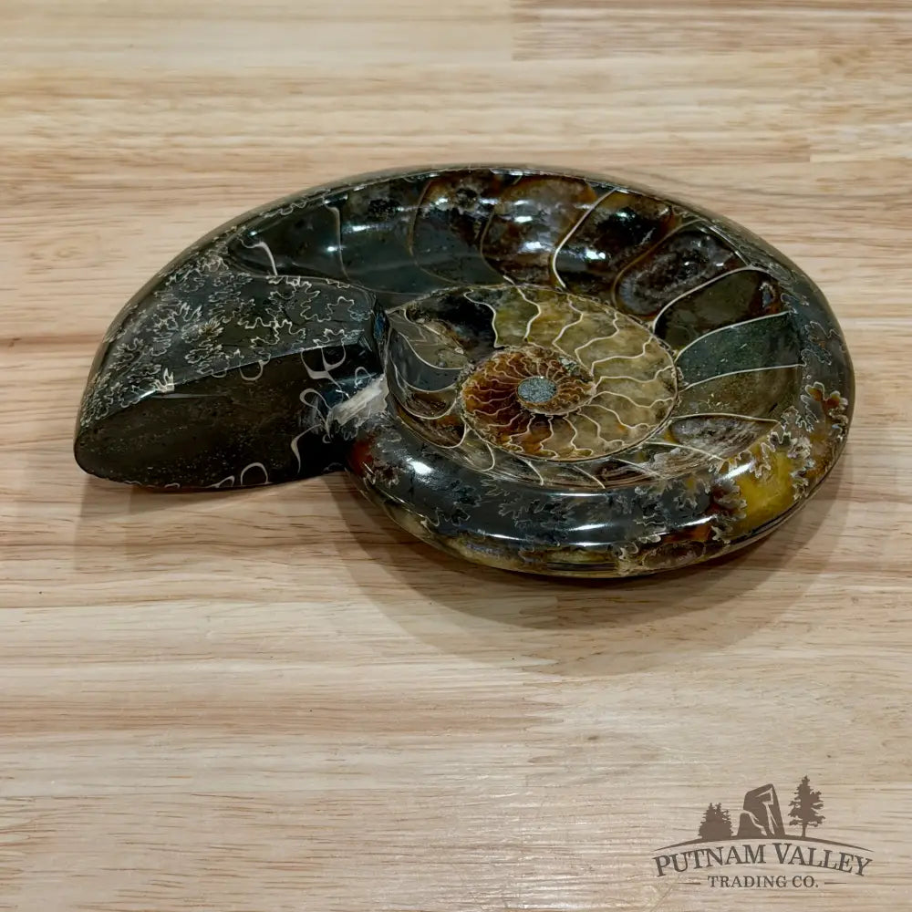 Reserve Carved Ammonite Fossil Accent Dish 5.55’’ - Fossil Specimen