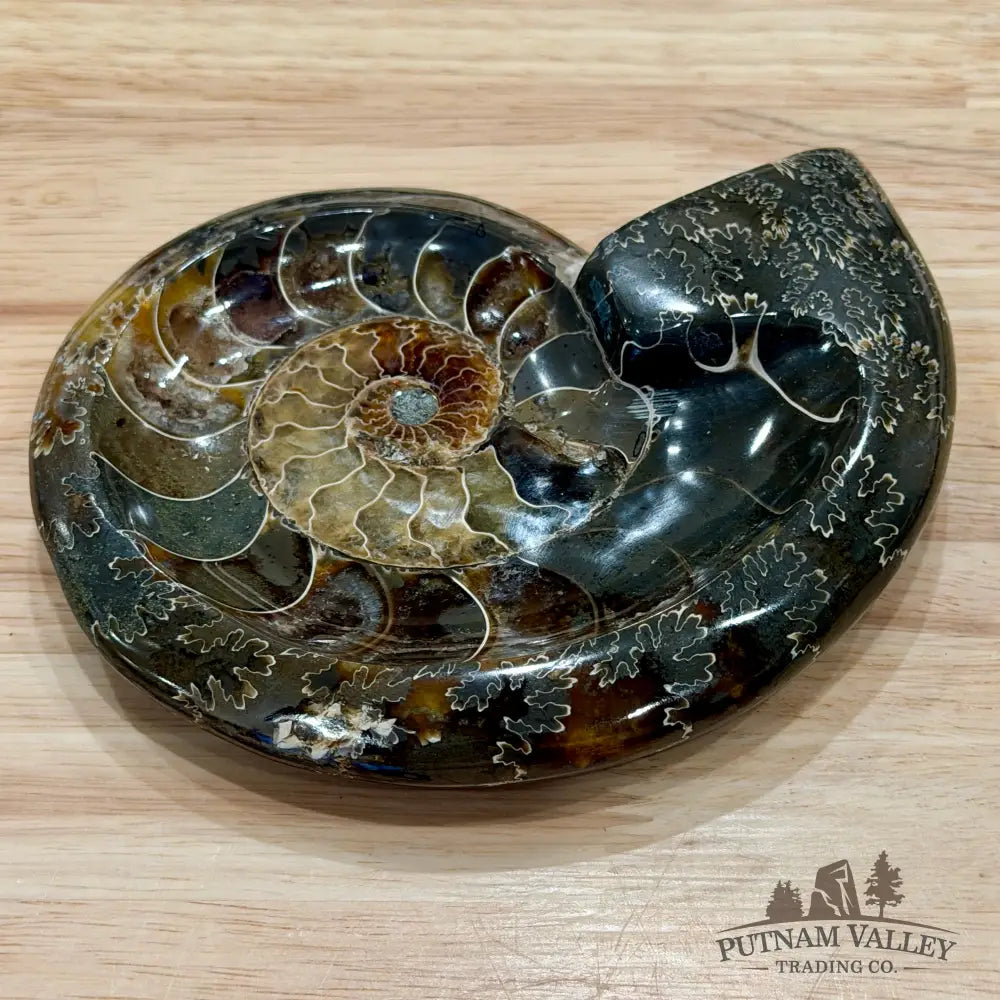 Reserve Carved Ammonite Fossil Accent Dish 5.55’’ - Fossil Specimen