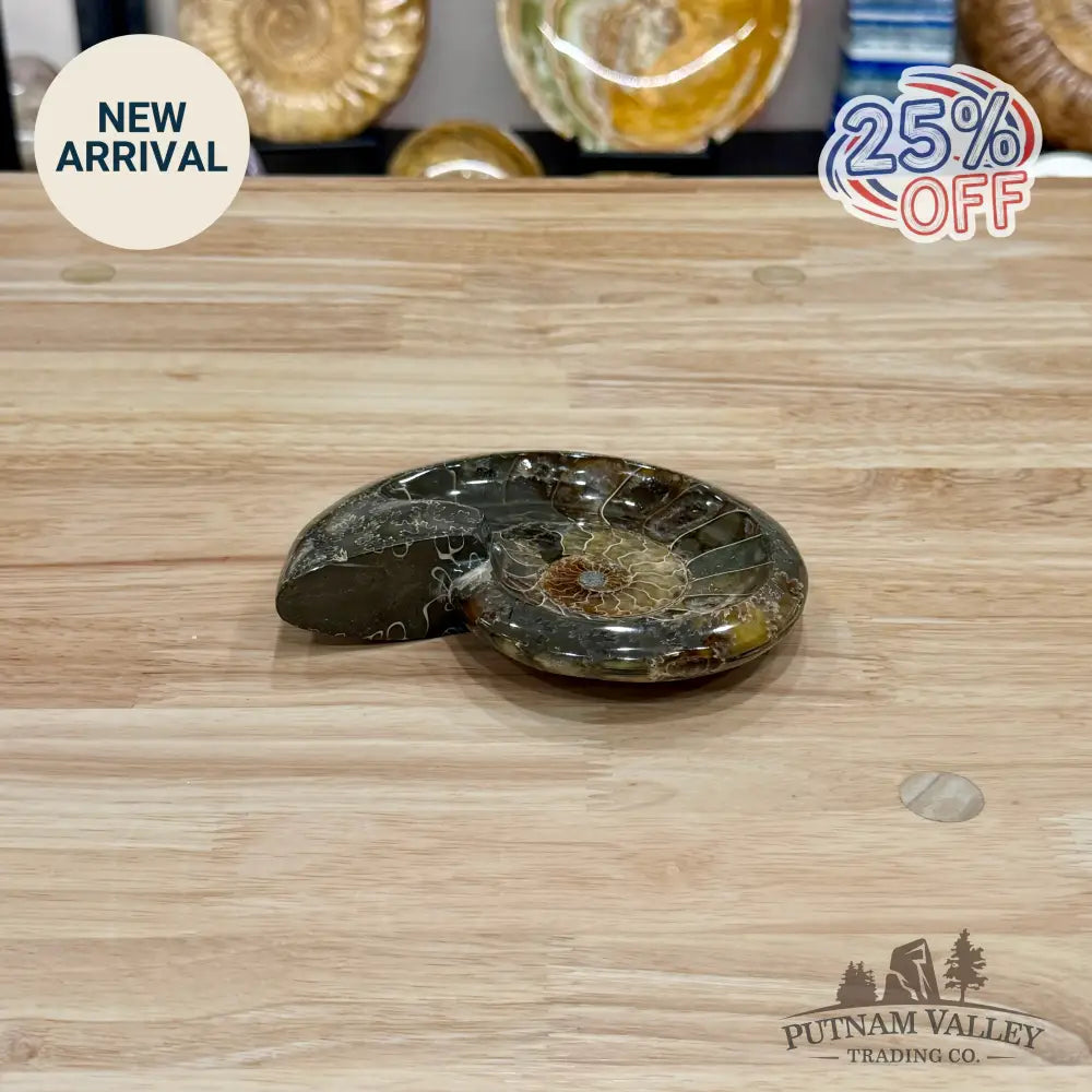 Reserve Carved Ammonite Fossil Accent Dish 5.55’’ - Fossil Specimen