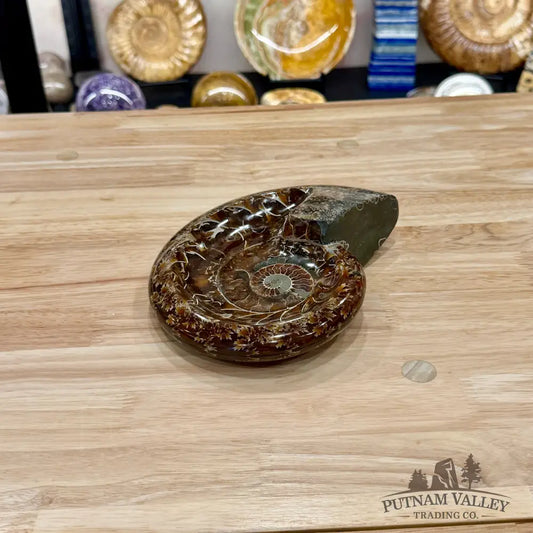 Reserve Carved Ammonite Fossil Accent Dish 7.5’’ - Fossil Specimen