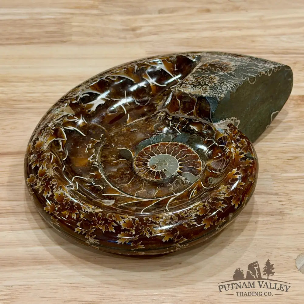 Reserve Carved Ammonite Fossil Accent Dish 7.5’’ - Fossil Specimen