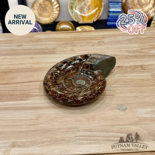 Reserve Carved Ammonite Fossil Accent Dish 7.5’’ - Fossil Specimen