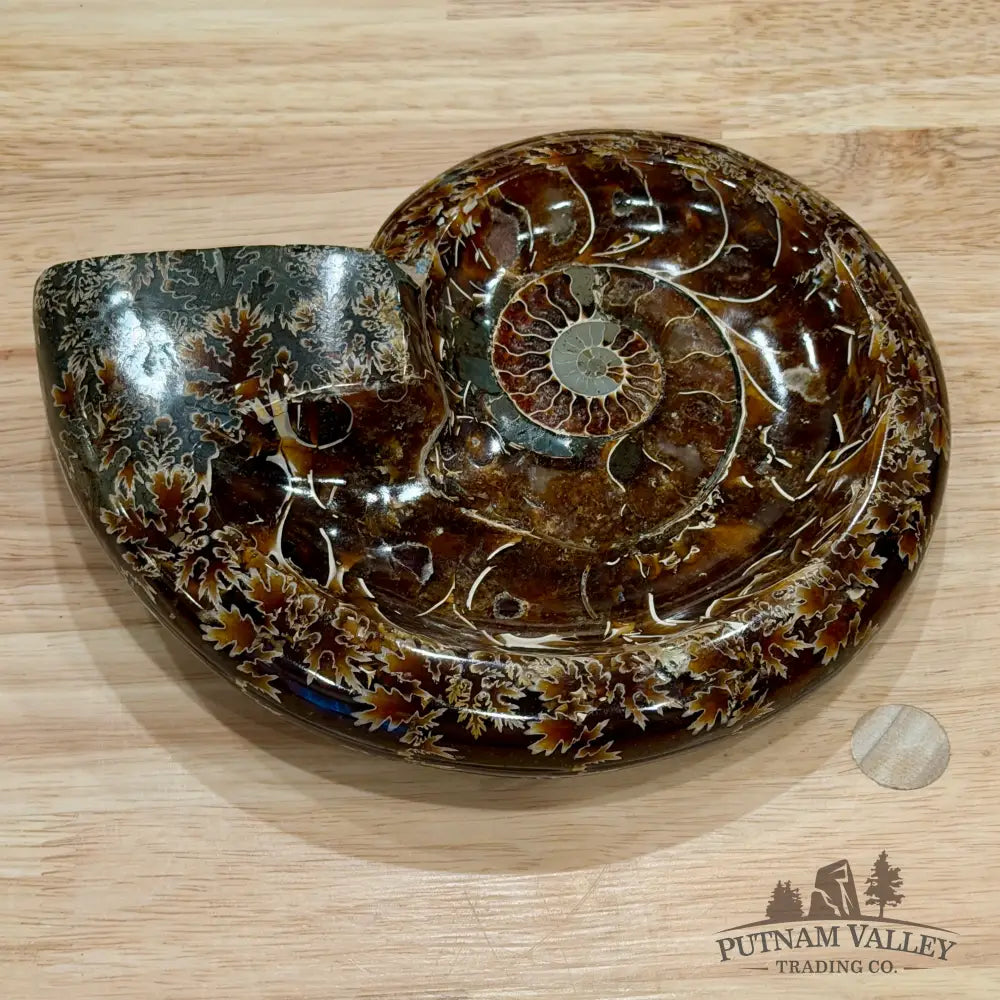 Reserve Carved Ammonite Fossil Accent Dish 7.5’’ - Fossil Specimen