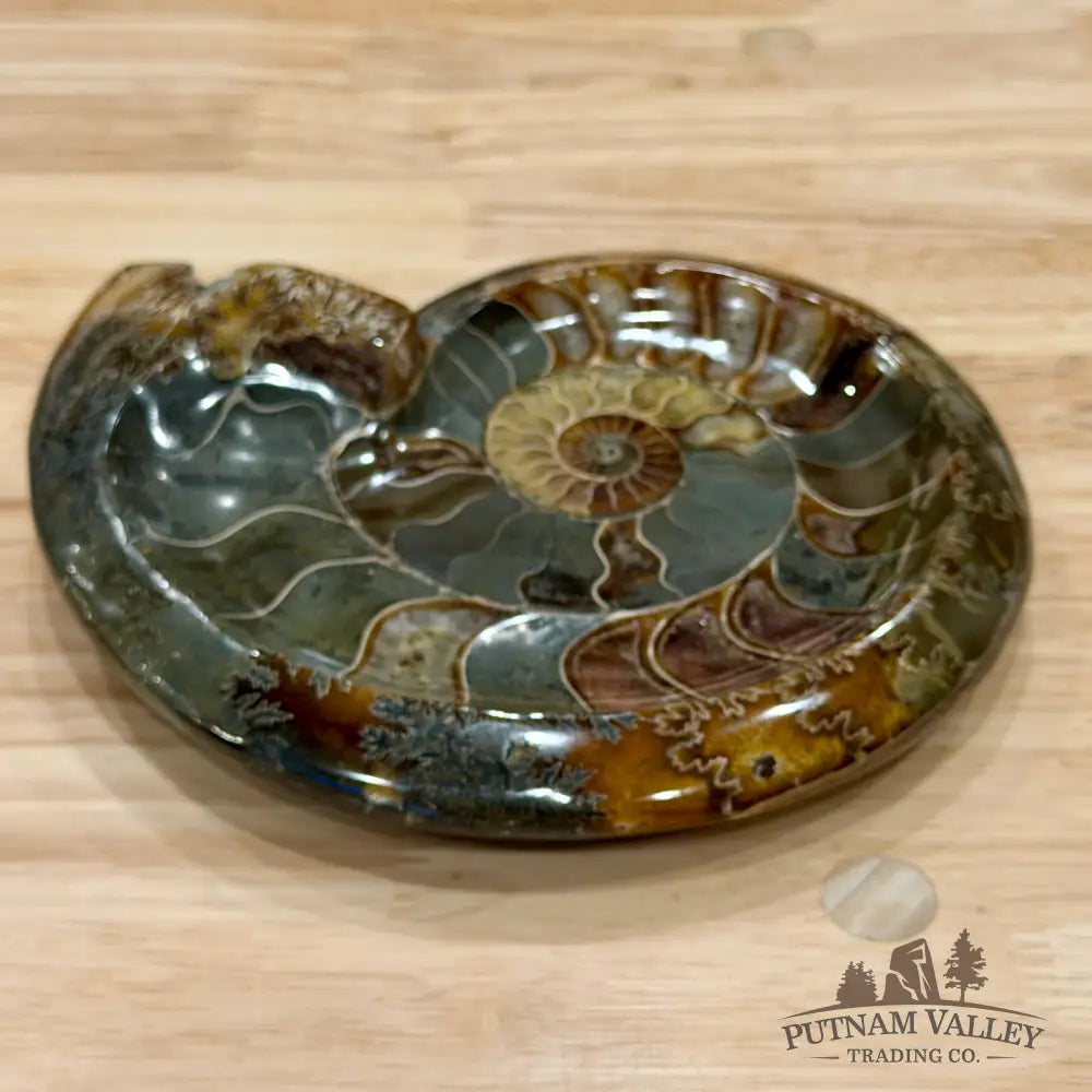 Reserve Carved Ammonite Fossil Accent Dish 8’’ - Fossil Specimen
