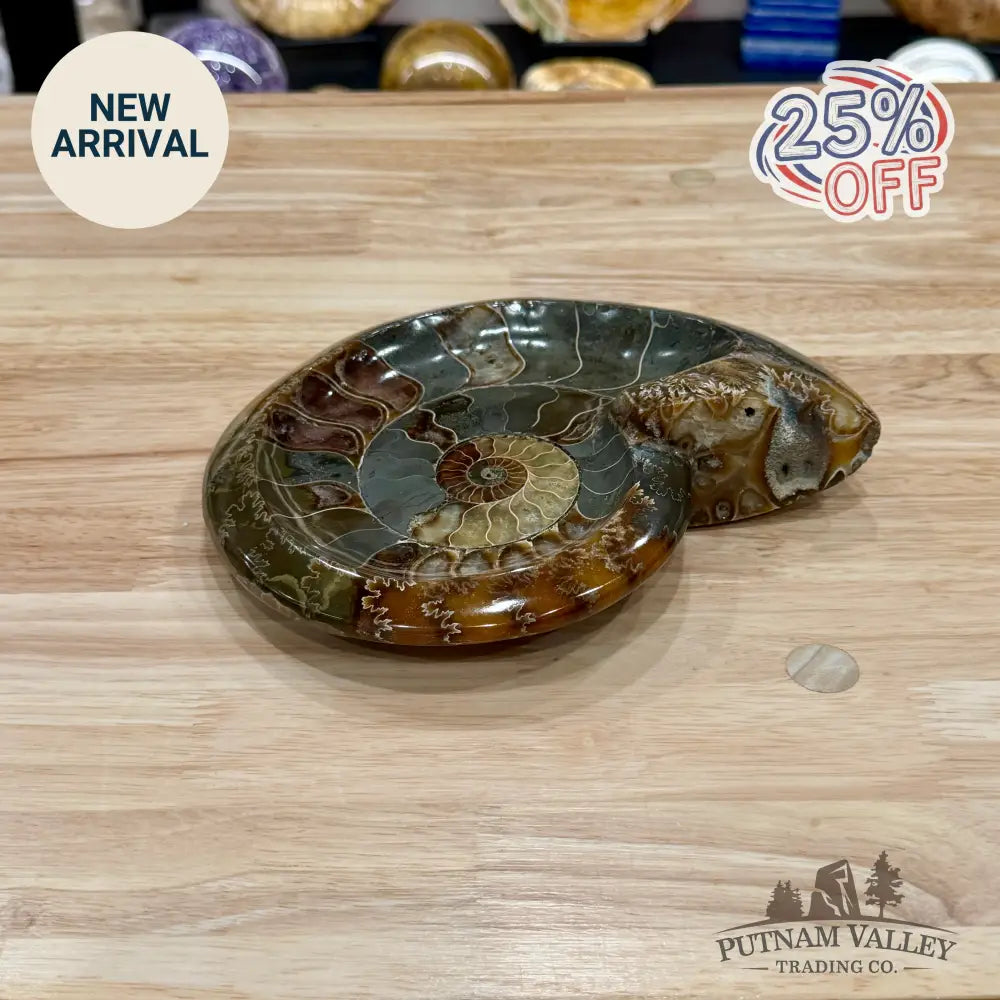 Reserve Carved Ammonite Fossil Accent Dish 8’’ - Fossil Specimen