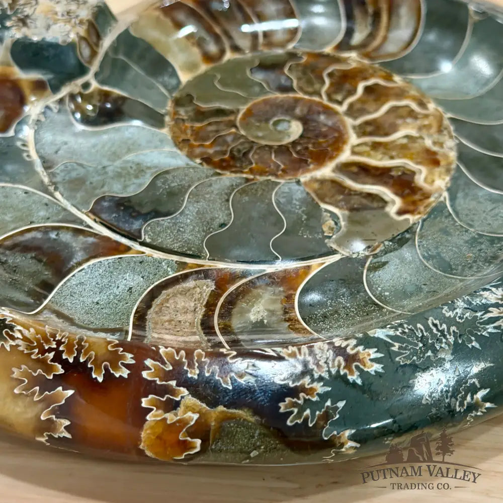 Reserve Carved Ammonite Fossil Accent Dish 9’’ - Fossil Specimen