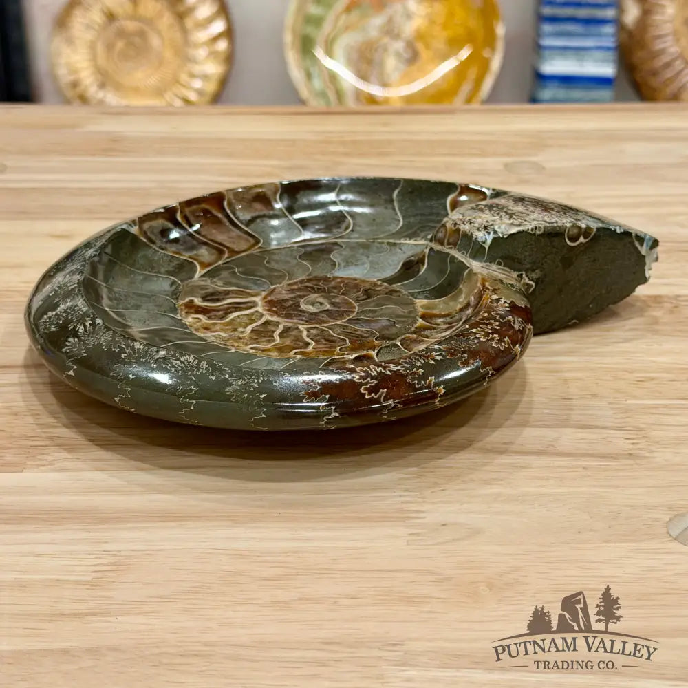 Reserve Carved Ammonite Fossil Accent Dish 9’’ - Fossil Specimen