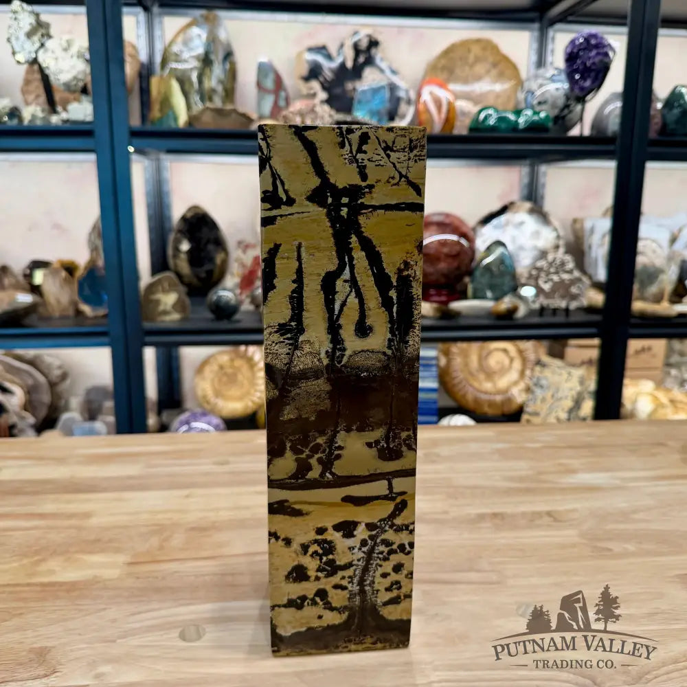 Reserve Chinese Picture Jasper Pillar Accent 13.75’’ | 18.52lb - Accent