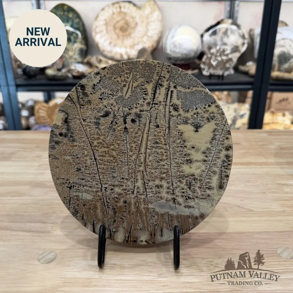 Reserve Chinese Picture Jasper Round Plate 7.82’’ - Plate