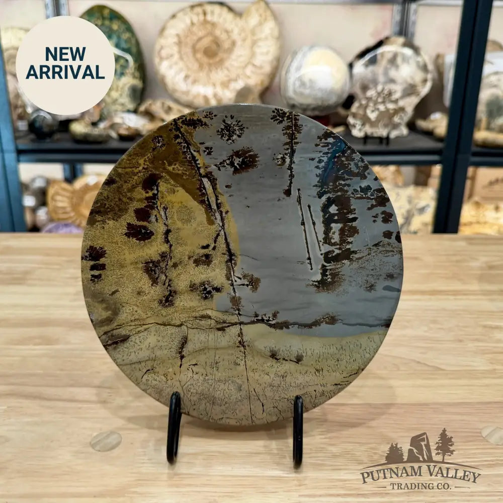 Reserve Chinese Picture Jasper Round Plate 8.21’’ - Plate