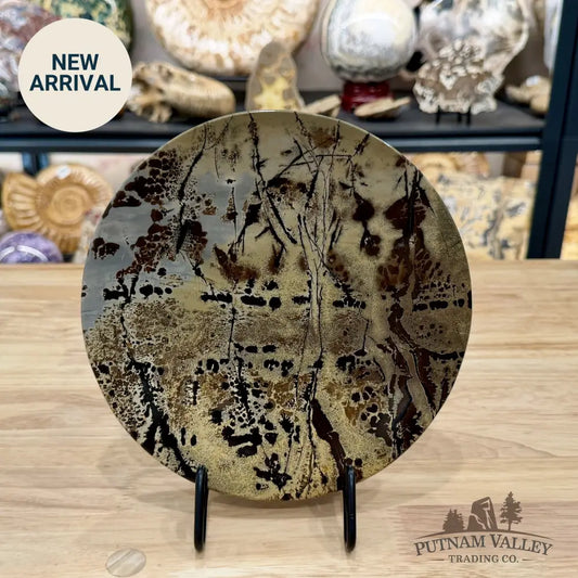Reserve Chinese Picture Jasper Round Plate 8.22’’ - Plate