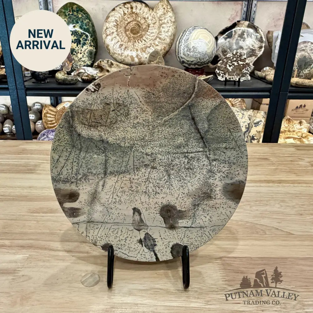 Reserve Chinese Picture Jasper Round Plate 8.25’’ - Plate