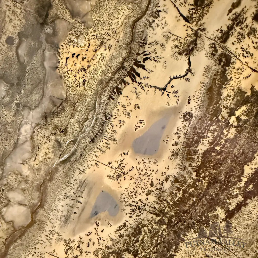 Reserve Chinese Picture Jasper Round Plate 8.3’’ - Plate