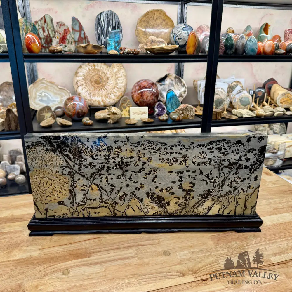 Reserve Chinese Picture Jasper Table Accent 26’’ - Accent