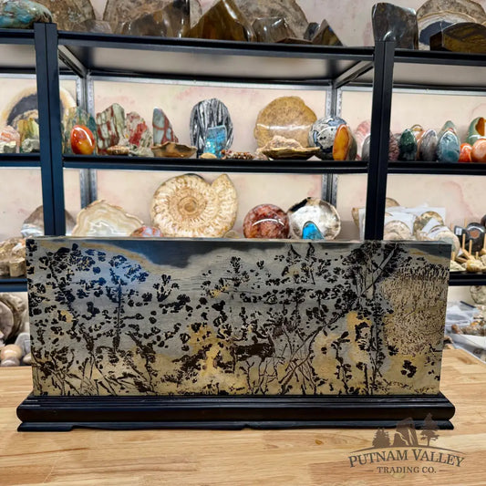 Reserve Chinese Picture Jasper Table Accent 26’’ - Accent