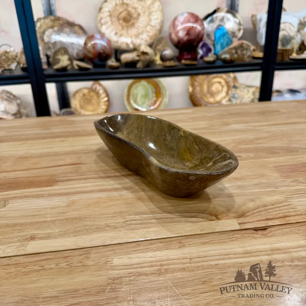 Reserve Coral Fossil Bowl - Fossil Bowl