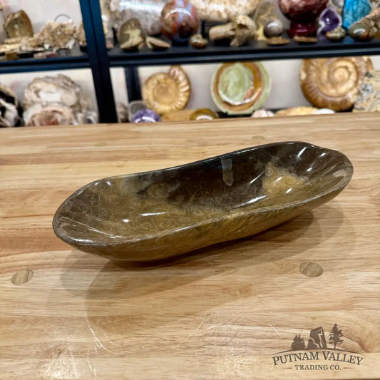 Reserve Coral Fossil Bowl - Fossil Bowl