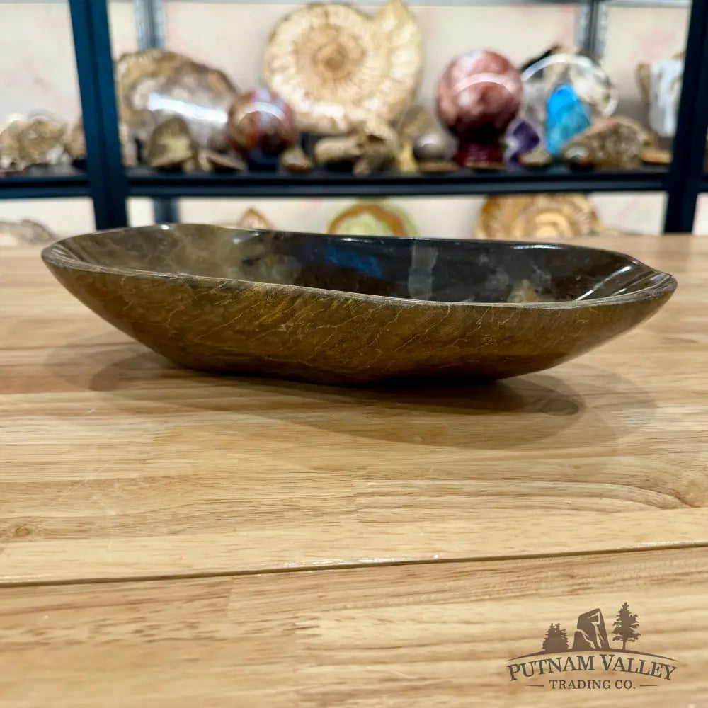 Reserve Coral Fossil Bowl - Fossil Bowl