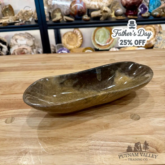 Reserve Coral Fossil Bowl - Fossil Bowl
