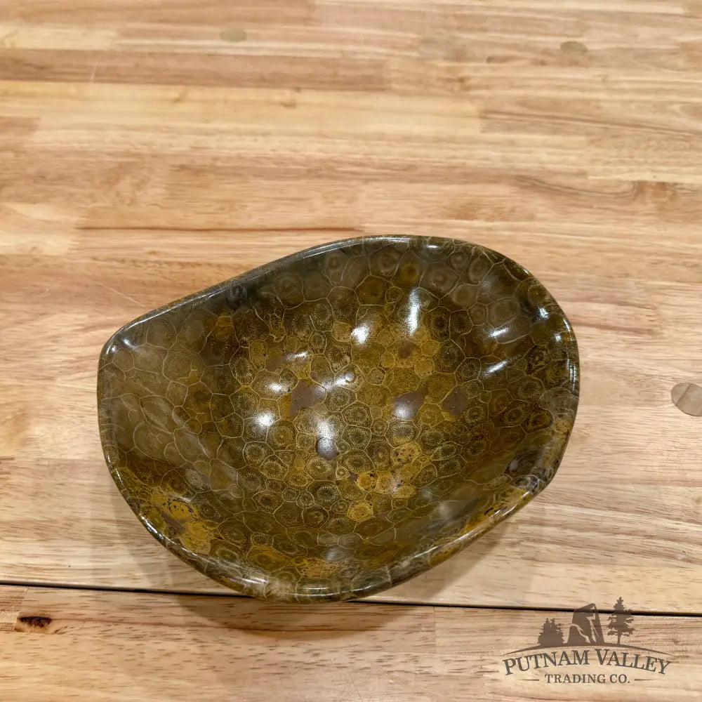 Reserve Coral Fossil Bowl Fossil Bowl