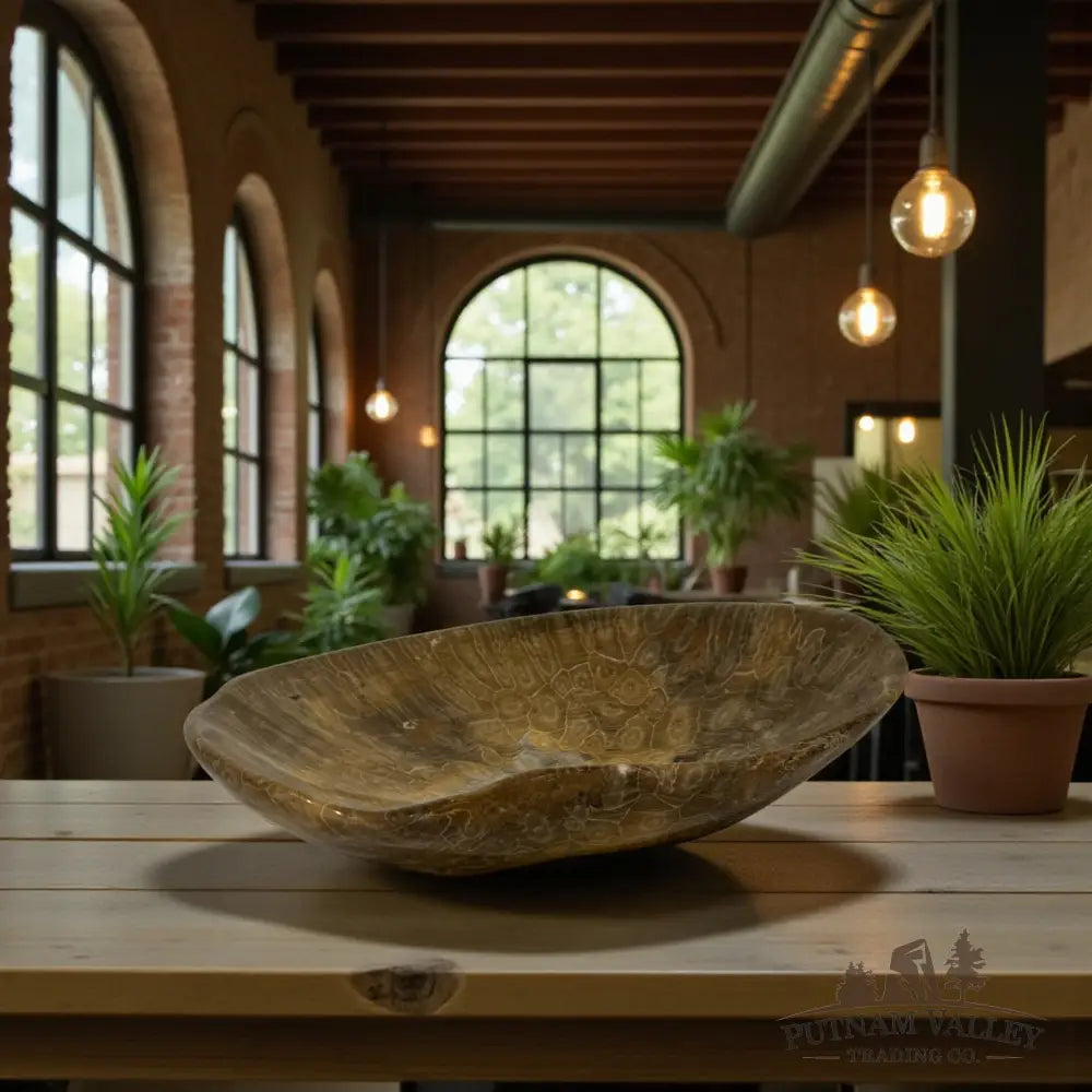 Coral Fossil Bowl Fossil Bowl