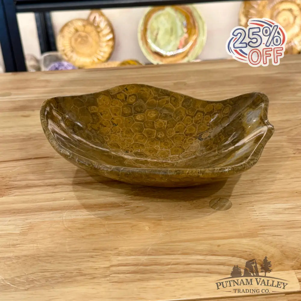 Reserve Coral Fossil Bowl - Fossil Bowl