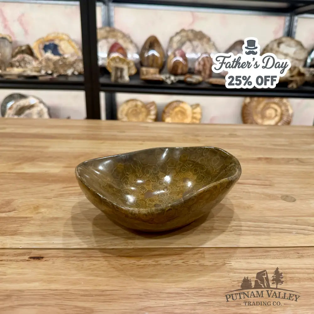 Reserve Coral Fossil Bowl Fossil Bowl