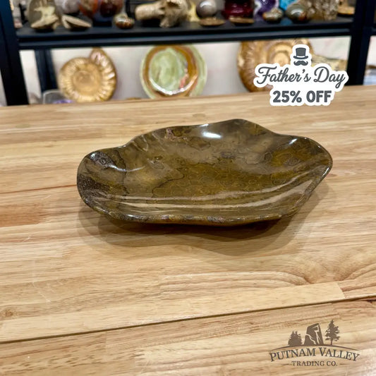 Reserve Coral Fossil Bowl - Fossil Bowl