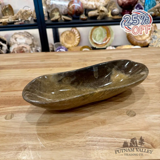 Reserve Coral Fossil Bowl - Fossil Bowl