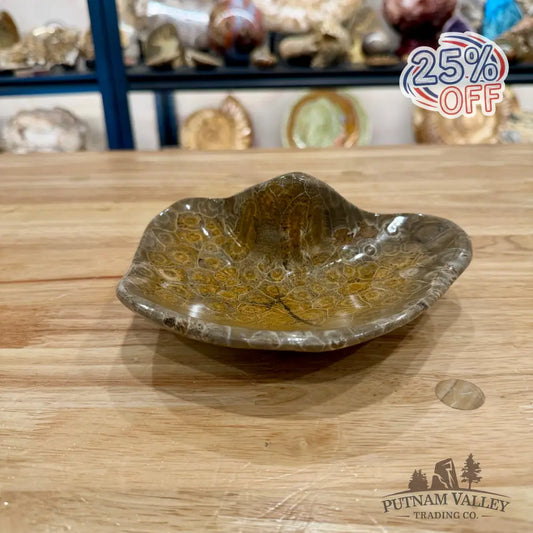 Reserve Coral Fossil Bowl - Fossil Bowl