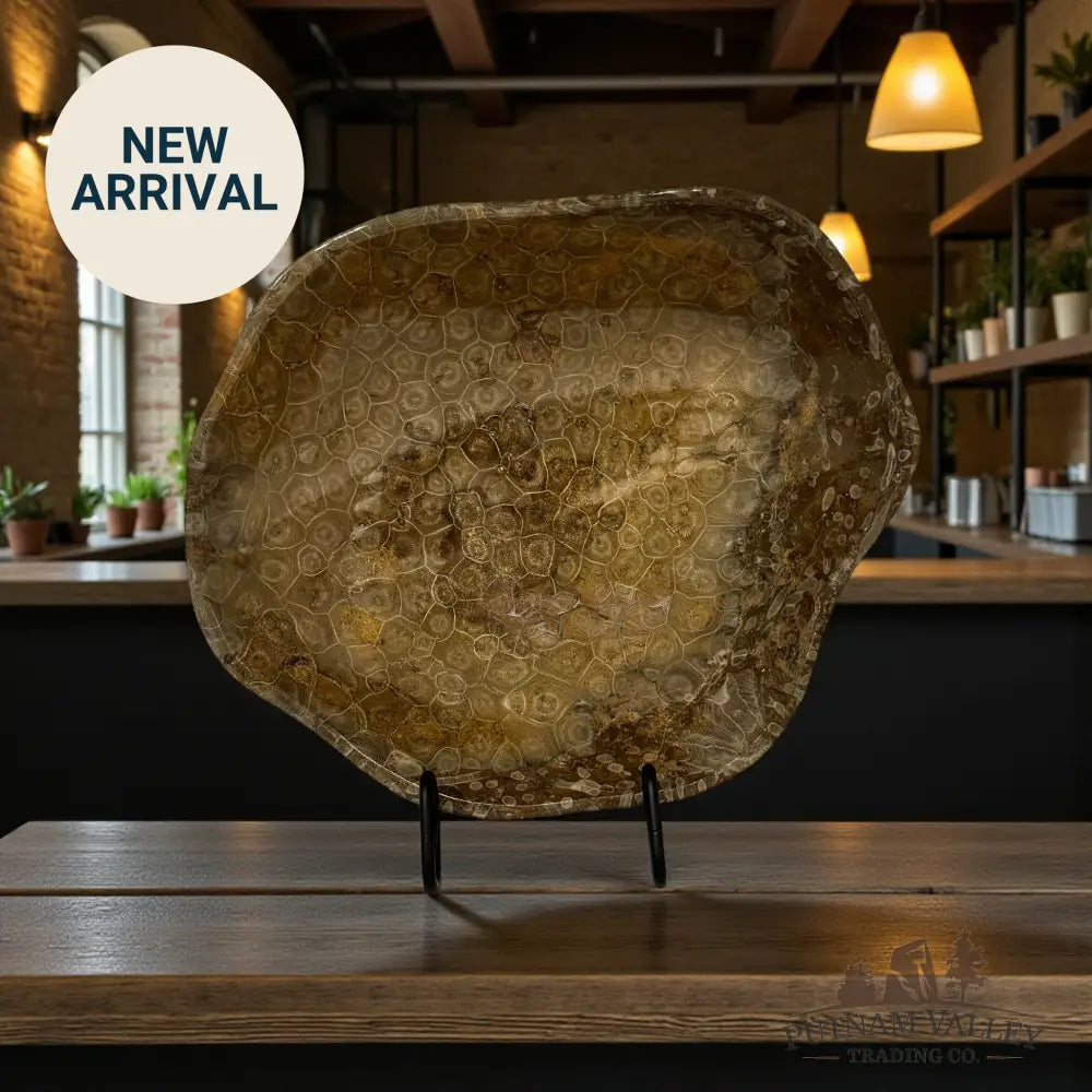 Reserve Coral Fossil Bowl Fossil Bowl