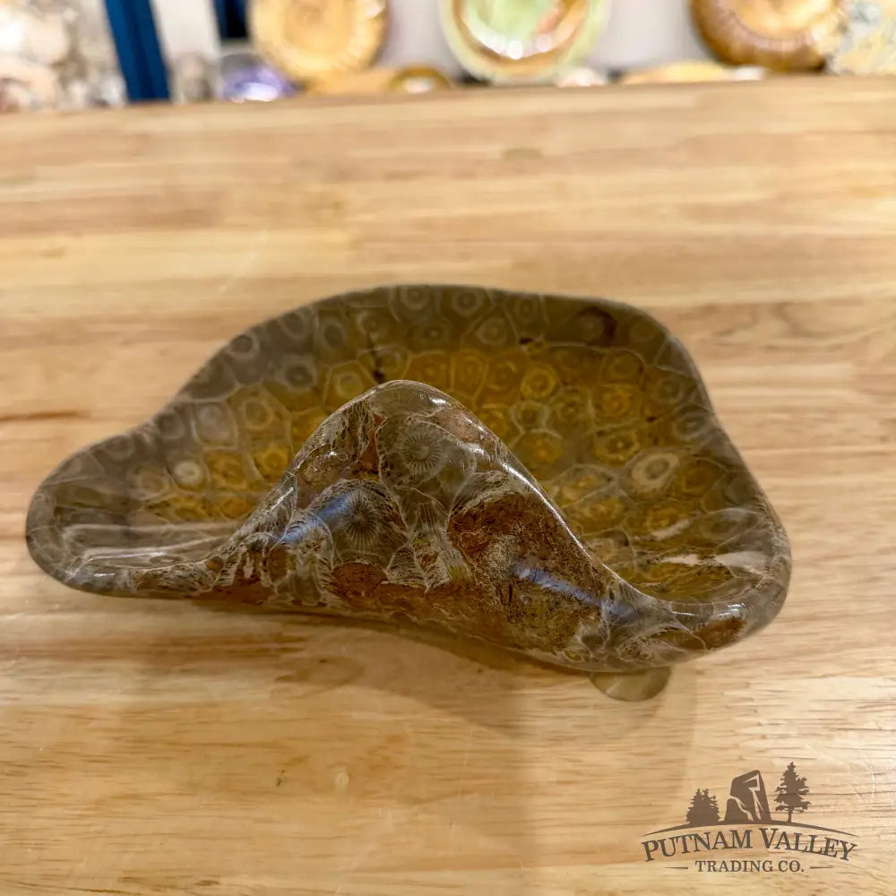 Reserve Coral Fossil Bowl - Fossil Bowl