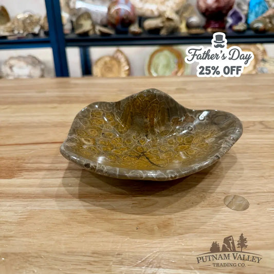 Reserve Coral Fossil Bowl - Fossil Bowl