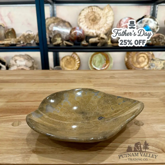 Reserve Coral Fossil Bowl - Fossil Bowl