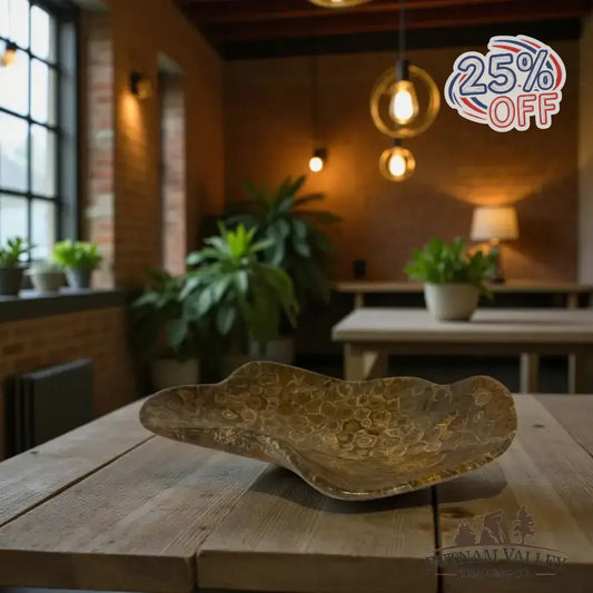 Coral Fossil Bowl - Putnam Valley Trading Co.
