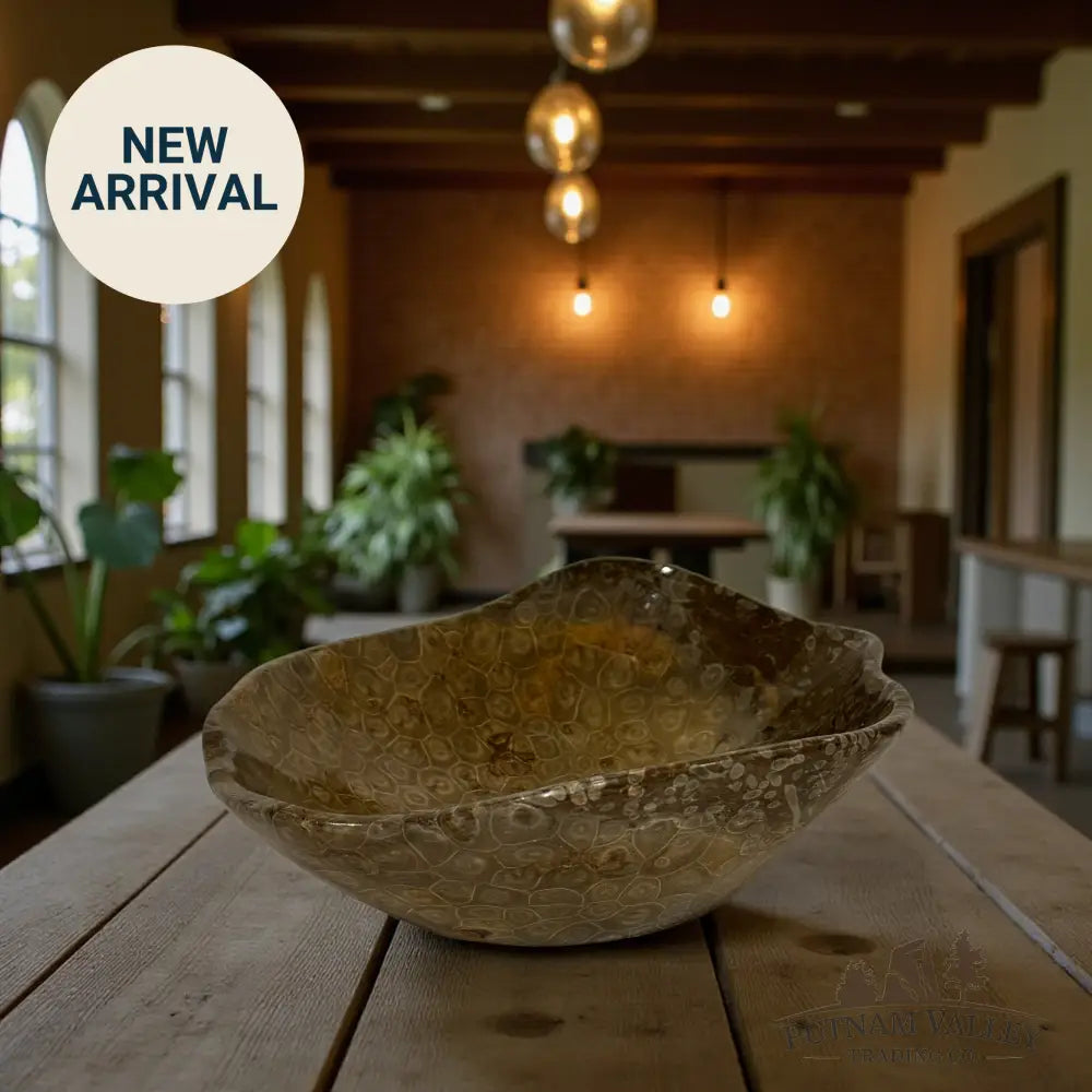 Reserve Coral Fossil Bowl Fossil Bowl