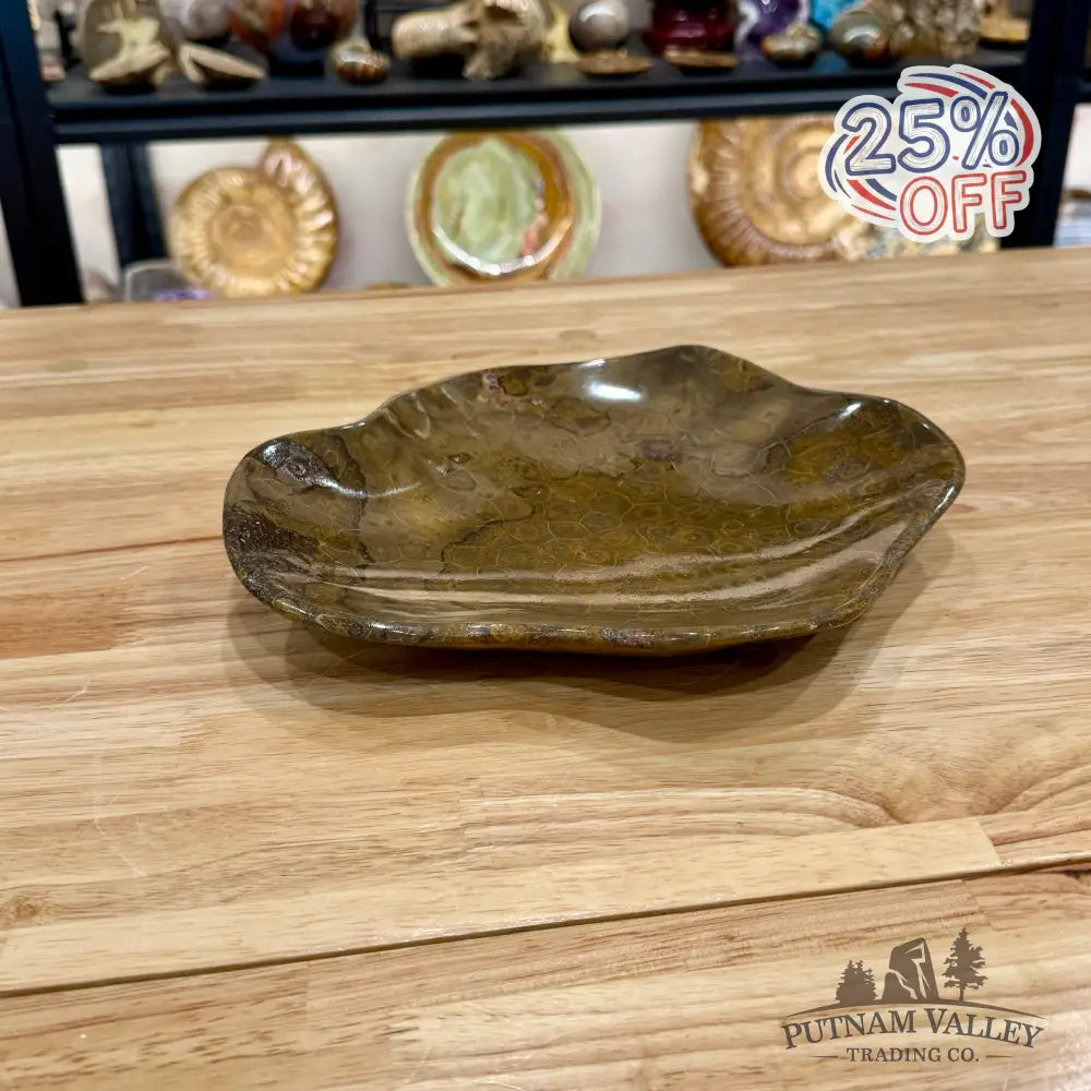Reserve Coral Fossil Bowl - Fossil Bowl