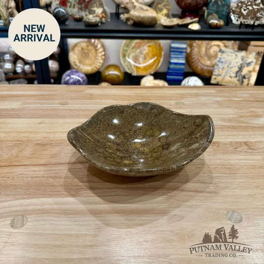 Reserve Coral Fossil Bowl 8.2’’ - Fossil Bowl