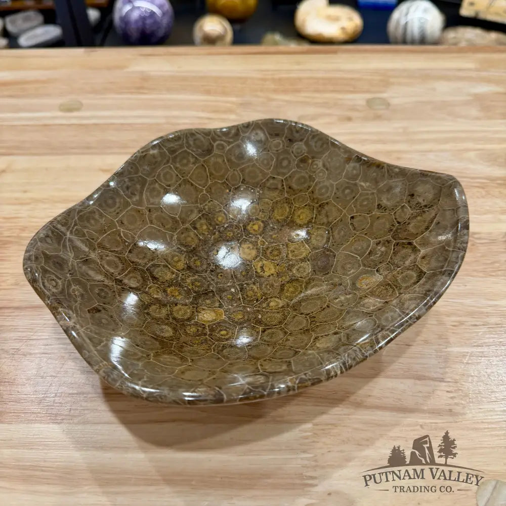 Reserve Coral Fossil Bowl 8.2’’ - Fossil Bowl