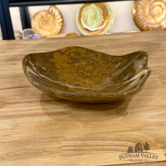 Reserve Coral Fossil Bowl - Fossil Bowl