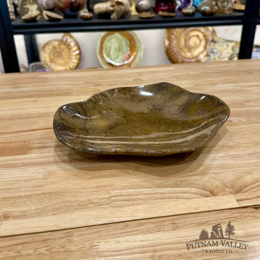 Reserve Coral Fossil Bowl - Fossil Bowl