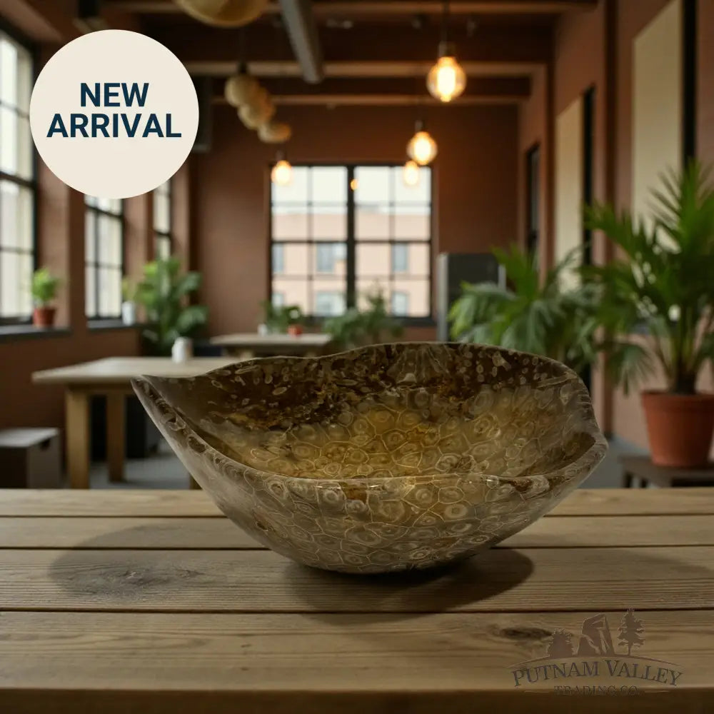 Reserve Coral Fossil Bowl Fossil Bowl