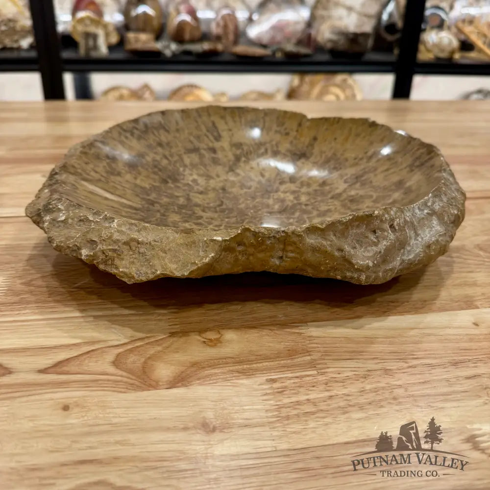 Reserve Coral Fossil Rustic Bowl 12’’ Fossil Bowl