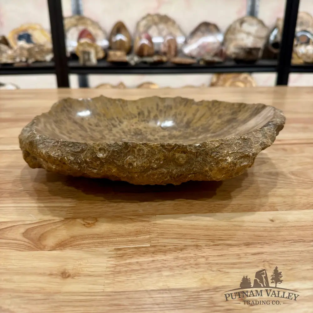 Reserve Coral Fossil Rustic Bowl 12’’ Fossil Bowl