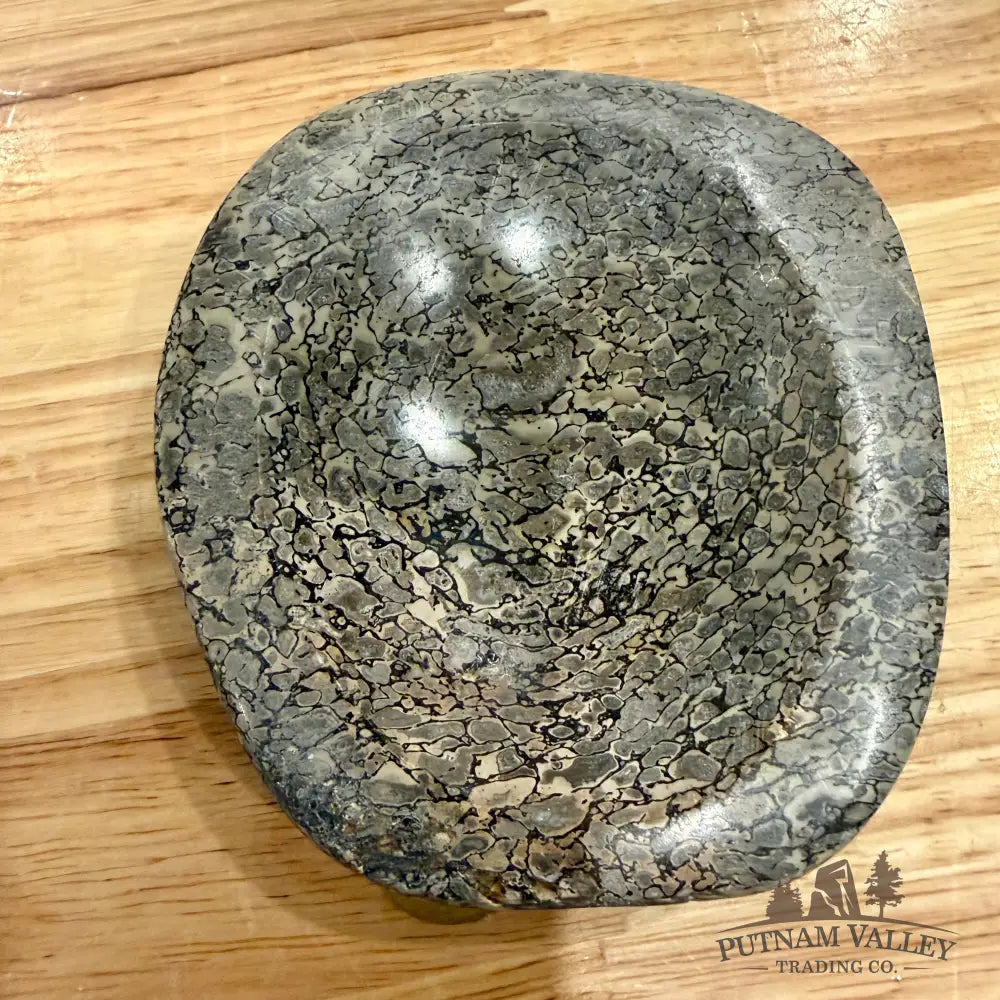 Reserve Fossilized Dinosaur Bone Bowl 3.67’’ - Accent