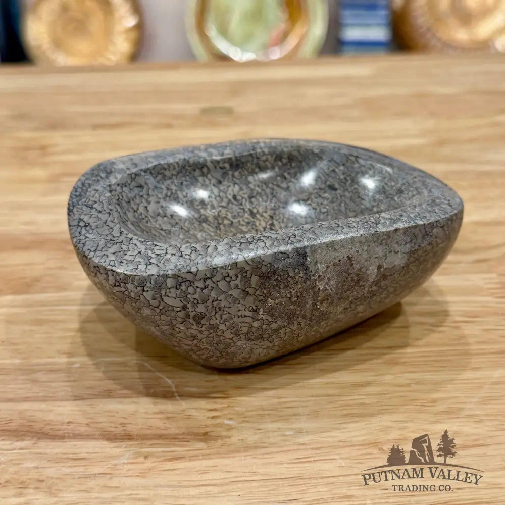 Reserve Fossilized Dinosaur Bone Bowl 4.8’’ - Fossil Bowl