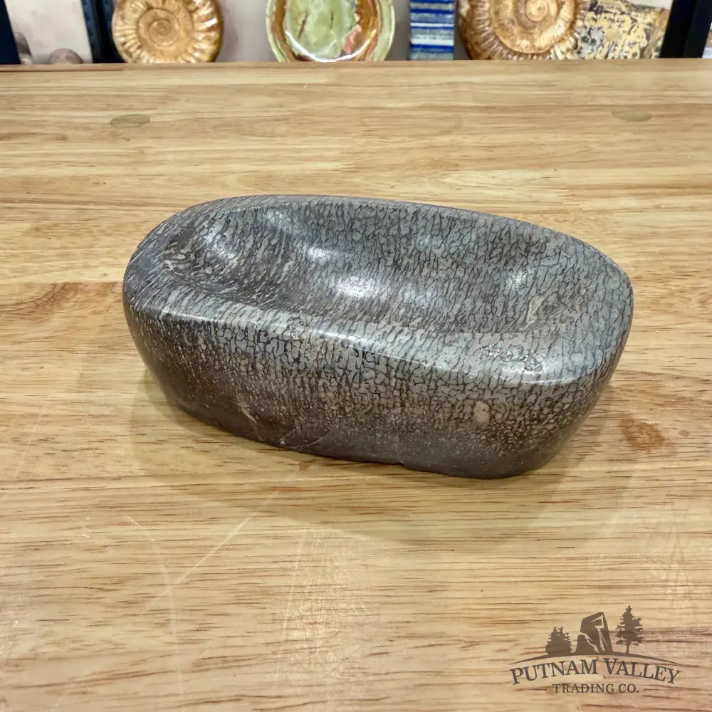 Reserve Fossilized Dinosaur Bone Bowl 4.97’’ - Fossil Bowl